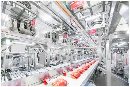 衛(wèi)龍 重塑品質標準,匠心打動世界